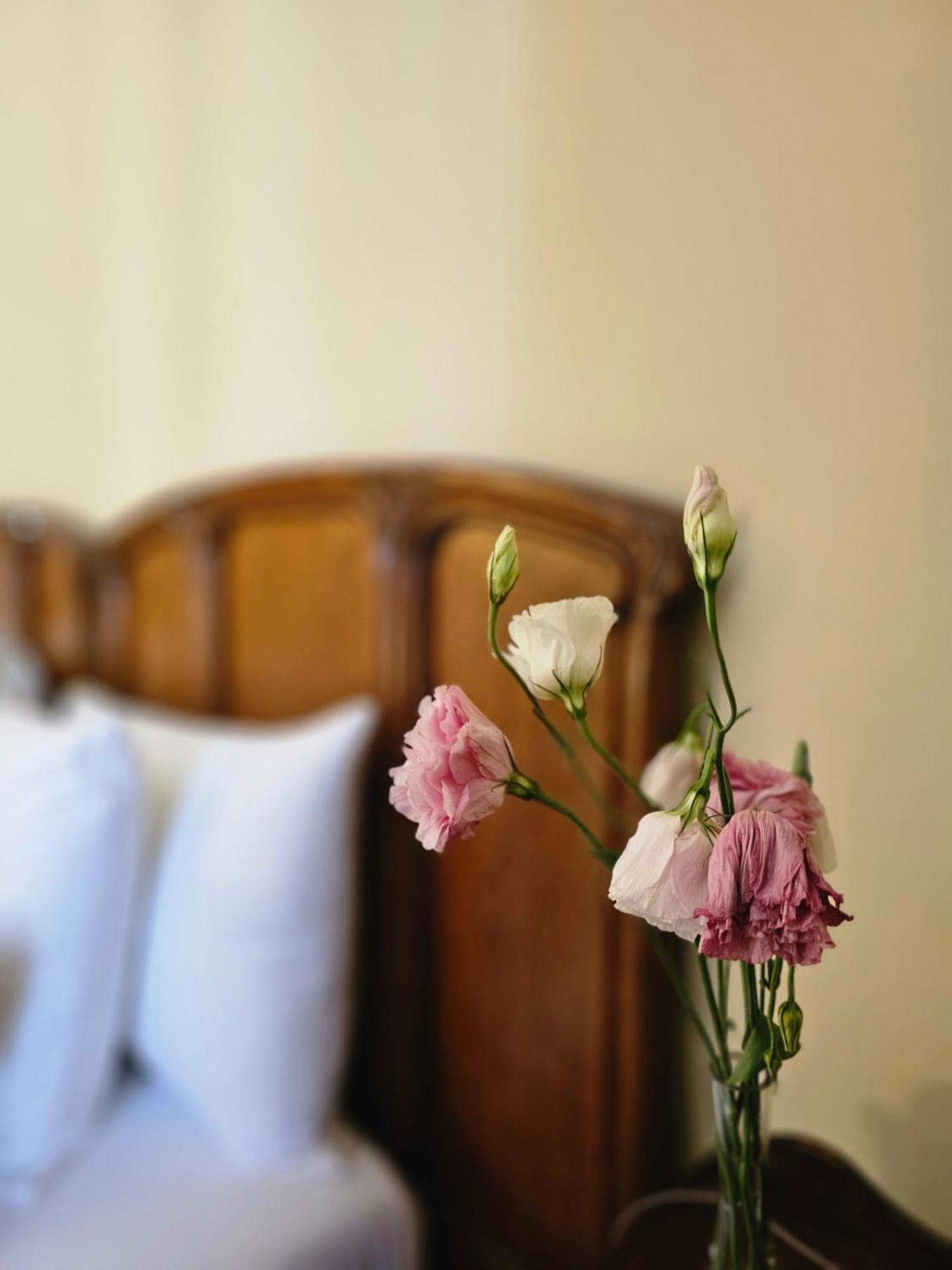 Be Jardin Escondido By Coppola Hotell Buenos Aires Exteriör bild